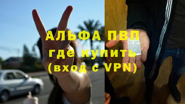 a pvp Белокуриха