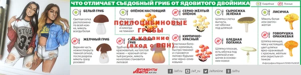 метадон Богородицк