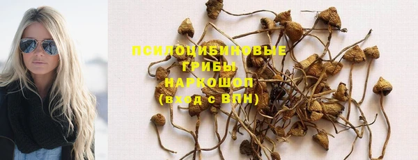 прущая мука Богородск